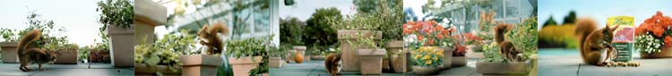 bernd klanke: Sounddesign | Foley: Hauert